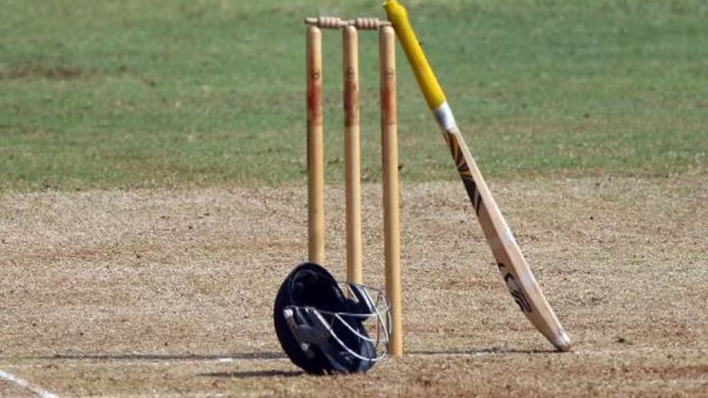 cricket bat and ball