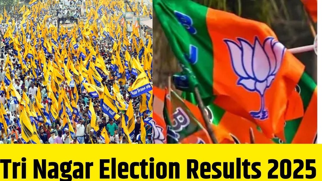 Tri Nagar election result, Tri Nagar election result 2025, Tri Nagar assembly election result 2025, Delhi election result 2025,