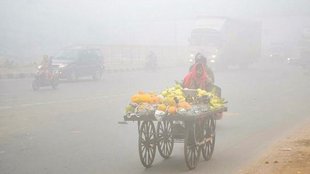 delhi ncr | cold wave |