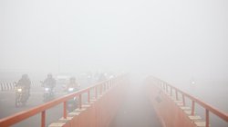 UP Fog: यमुना एक्सप्रेसवे पर 100 बकरियों की मौत, घने कोहरे के कारण टकराईं कई गाड़ियां