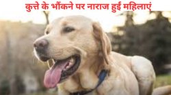 मुंबई में कुत्ते के भौंकने पर बवाल, घर में घुसकर 10 महिलाओं ने मालिक, उसकी पत्नी और बेटी को पीटा, हैरान करने वाली घटना