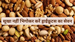 एक मुट्ठी काजू और बादाम का सेवन 1 महीने तक किया जाए तो बॉडी पर कैसा दिखेगा असर, एक्सपर्ट से जानिए