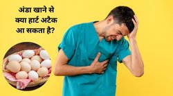 हाई कोलेस्ट्रॉल में Eggs खाना चाहिए या नहीं, क्या रोजाना अंडा खाने से HDL Cholesterol बढ़ता है? एक्सपर्ट से जानिए