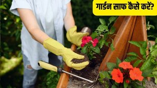 How to clean garden