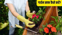 गार्डन साफ कैसे करें? जानें Garden Cleaning का सबसे सही फॉर्मूला