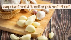 सुबह उठते ही चबा लीजिए लहसुन की एक कली, बॉडी के अंग-अंग से निकल जाएगी गंदगी, मिलेंगे 5 फायदे