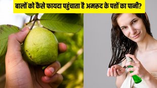 benefits of boiled guava leaf water । guava leaf water for hair । hair care