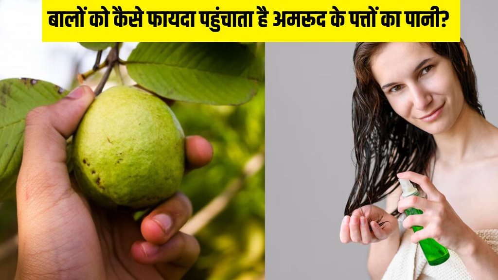 benefits of boiled guava leaf water । guava leaf water for hair । hair care