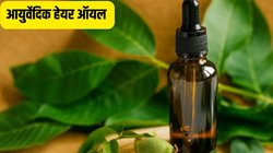 आयुर्वेदिक हेयर ऑयल कैसे तैयार करें? महंगे दामों पर खरीदने से अच्छा घर में बनाकर लगाएं