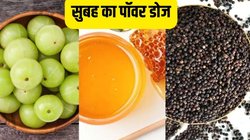 Morning Mantra: आंवला, शहद और काली मिर्च, सर्दियों में सुबह की शुरुआत करें इन 3 चीजों से बनी इस रेसिपी के साथ