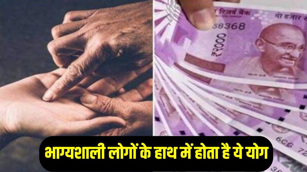 Hans yog in palm, hans yog, hans yog ke benefits