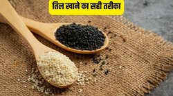 तिल खाने का सही तरीका क्या है? 90% लोग करते हैं गलत तरीके से इसका सेवन
