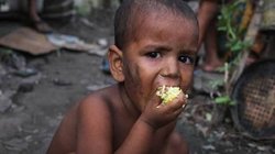 Blog: गरीबी में लगातार आ रही कमी पोषक आहार की चुनौती बरकरार, साल 1990 में सबसे ज्यादा थी गरीबों की संख्या
