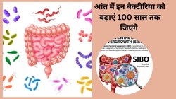 आपकी आंत में छुपा है 100 साल तक जीने का राज़, पेट में इन खास 4 Bacteria की वजह से होती है लम्बी उम्र, रिसर्च मे चल गया पता