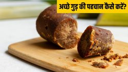 अच्छे गुड़ की पहचान कैसे करें? मास्टरशेफ ने बताया गुड़ खरीदने जाएं तो 3 बातों पर जरूर दें ध्यान