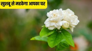 best smelling flowers for home