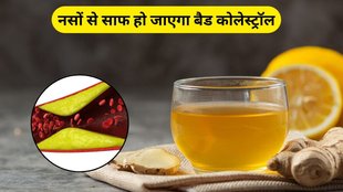 ginger water for cholesterol