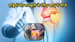 सर्दियों में हड्डियों के दर्द से हैं परेशान तो इन 3 फूड्स का कर लें सेवन, मसल्स भी हो जाएंगी स्ट्रॉन्ग, एक्सपर्ट से जानिए