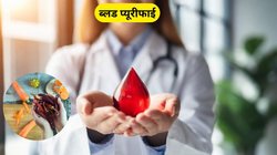 शरीर के अंग-अंग से ब्लड को प्यूरीफाई करेंगी ये 4 चीजें, बीमारियां भी रहेंगी दूर