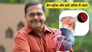 difference between brain stroke and heart attack