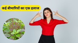 benefits of tulsi