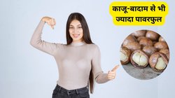 काजू-बादाम से भी ज्यादा ताकतवर है ये ड्राई फ्रूट, शरीर बन जाएगा फौलादी, खून की कमी भी हो जाएगी दूर