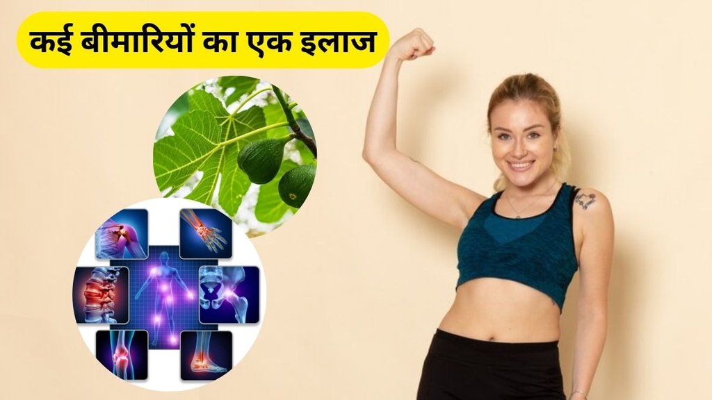 fig leaves for calcium, fig leaves for bones, fig leaves for sugar,