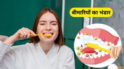 कहीं आपका टूथब्रश बैक्टीरिया का ठिकाना तो नहीं ? नजरअंदाज किया तो शरीर बन जाएगा बीमारियों का घर, एक्सपर्ट से जानिए कैसे