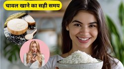 चावल खाने का सबसे अच्छा समय क्या है? इस नियम को किया फॉलो तो लंबी उम्र तक रहेंगे हेल्दी, आसपास भी नहीं भटकेंगी बीमारियां