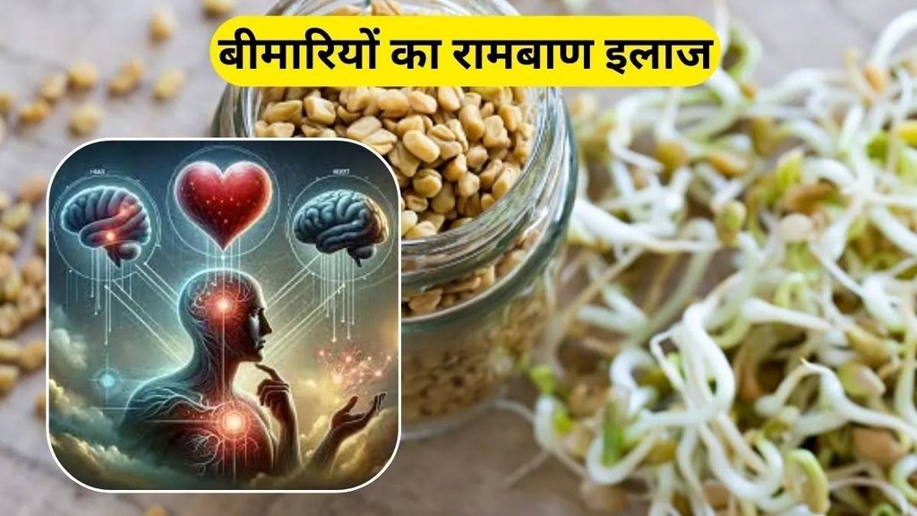 Sprouted Fenugreek, benefits of Sprouted Fenugreek, Sprouted Fenugreek for Diabetes, Sprouted Fenugreek for Cholesterol