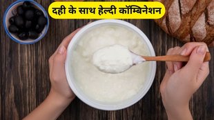 Healthy combination with curd