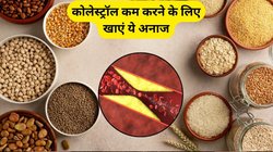 इन 3 अनाज को खाना कर दें शुरू, आंतों की सफाई से लेकर कोलेस्ट्रॉल तक हो जाएगा कंट्रोल