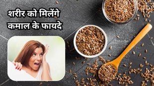 Flax Seeds Benefits