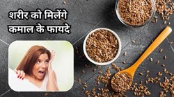 इन बीजों में छिपा सेहत का राज, बस रोज खा लें एक मुट्ठी, कोलेस्ट्रॉल और शुगर समेत 5 बीमारियों से मिल जाएगा छुटकारा