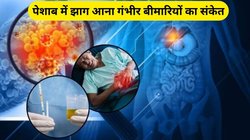 Foam In Urine: पेशाब में आ रहा है झाग तो इन 4 बीमारियों के हो सकते हैं शिकार, इग्नोर करना पड़ जाएगा भारी