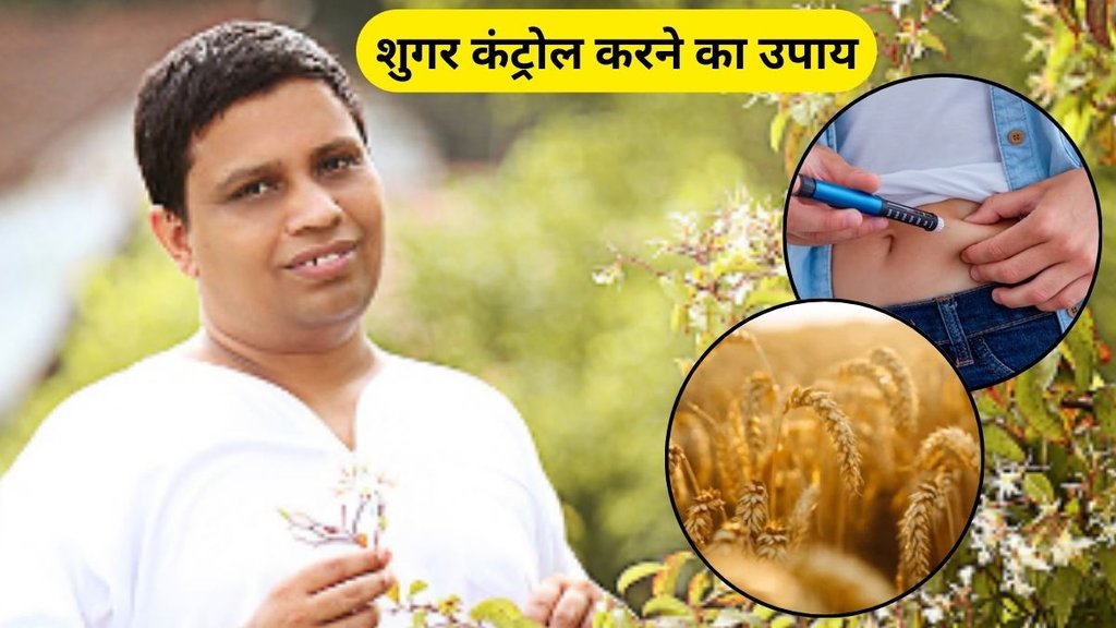 acharya balkrishna tips for Diabetes Control