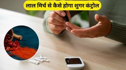Red Chilli Benefits: शुगर कंट्रोल करने के लिए लाल मिर्च है बहुत असरदार, रिसर्च से पता चला कैसे करना होगा इस्तेमाल