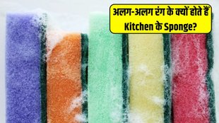 kitchen hacks । kitchen sponges । kitchen sponges color