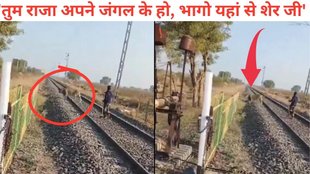 Railway Track Par Sher Ka Viral Video, lion Viral Video