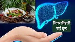 रोजाना मुट्ठी भर इस ड्राई फ्रूट को खा लीजिए लिवर हो जाएगा दुरुस्त, बॉडी को मिलेगा भरपूर पोषण, जानिए 4 बेहतरीन फायदे