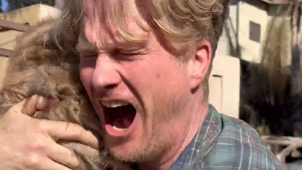 los angeles, los angeles fire, dog los angeles, los angeles fire, dog