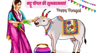 Mattu Pongal 2025 Wishes Images