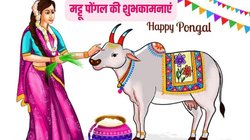 Mattu Pongal 2025 Wishes Images, Quotes: मट्टू पोंगल की शुभकामनाएं, अपनों के साथ शेयर करें ये विशेज कोट्स और कार्ड