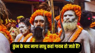 Maha Kumbh 2025, life of Naga Sadhus, interesting facts about Naga Sadhus