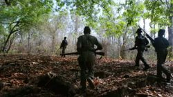 छत्तीसगढ़ पुलिस का बड़ा एक्शन, 14 नक्सलियों का किया एनकाउंटर