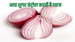Raw Onions: रोजाना कच्चा प्याज खाने से सेहत पर कैसा असर होता है? एक्सपर्ट से जानिए