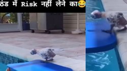 पानी ठंडा है, ठंडा है, ठंडा है… इस फनी वीडियो को देख हंसी नहीं रोक पाएंगे आप, शेयर करने पर हो जाएंगे मजबूर