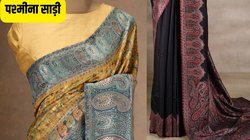 Pashmina saree: कम से कम ये 1 साड़ी तो जरूर खरीद लें, सर्दियों में देगी आपको रॉयल लुक