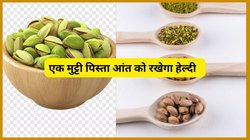 रोजाना मुट्ठी भर पिस्ता का सेवन करने से बॉडी पर कैसा होता है असर, एक्सपर्ट से जानिए