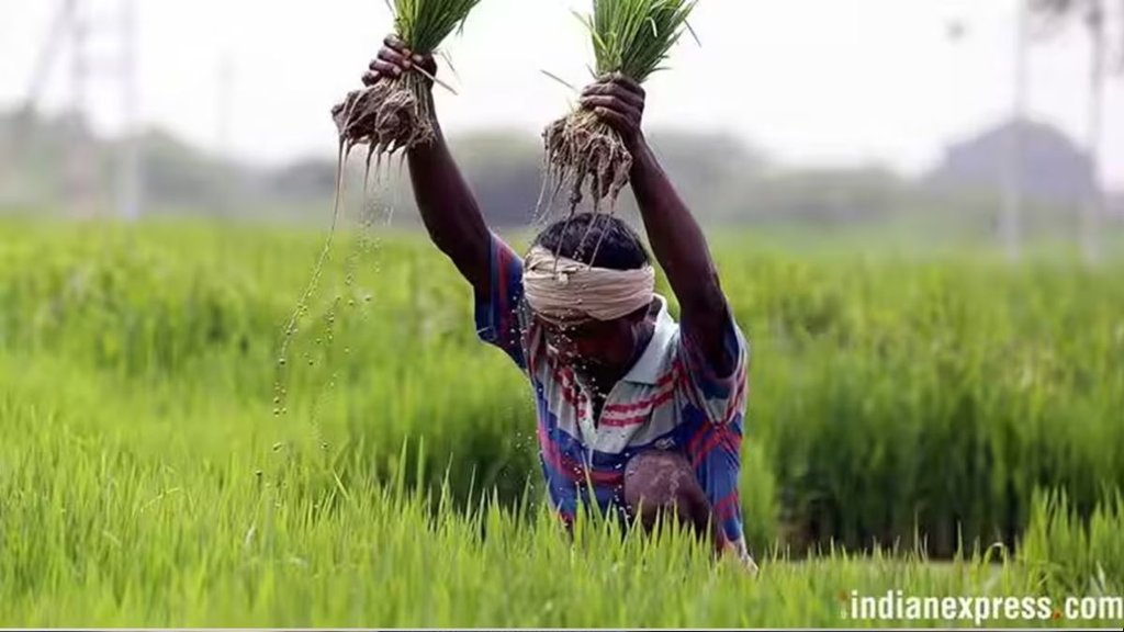pm kisan, Shivraj singh chauhan, fertilizer subsidy, Agricultural Subsidy